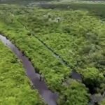 Culpan a obras del Tren Maya de inundaciones en Bacalar (Quintana Roo)