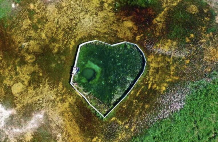 Alertan por casos de cáncer debido a contaminación del agua en Yucatán; las personas tienen mercurio y arsénico en la sangre