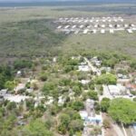 Kekén acosa a activistas que luchan contra la contaminación por las granjas porcícolas en Yucatán