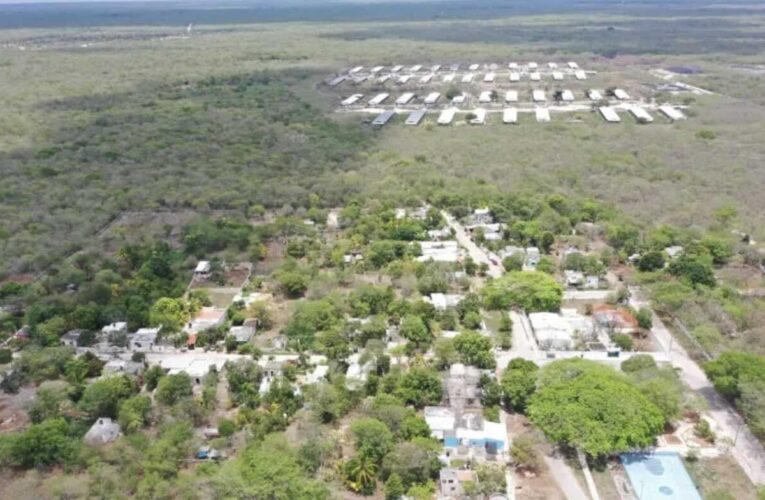 Kekén acosa a activistas que luchan contra la contaminación por las granjas porcícolas en Yucatán